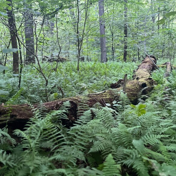 Meet your Posher, Sara - Picture 8 of 14